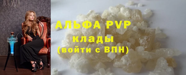 PSILOCYBIN Баксан