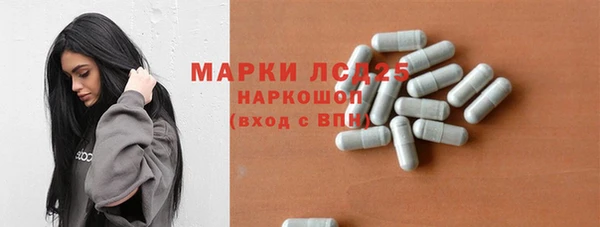 PSILOCYBIN Баксан