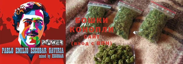 PSILOCYBIN Баксан