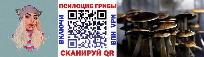 Псилоцибиновые грибы Psilocybine cubensis  магазин продажи наркотиков  ссылка на мегу зеркало  Котельнич 