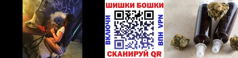 Бошки Шишки планчик  купить наркотик  Котельнич 